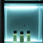 Bounty Hotel 4*